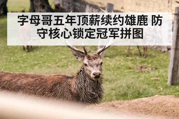 字母哥五年顶薪续约雄鹿 防守核心锁定冠军拼图