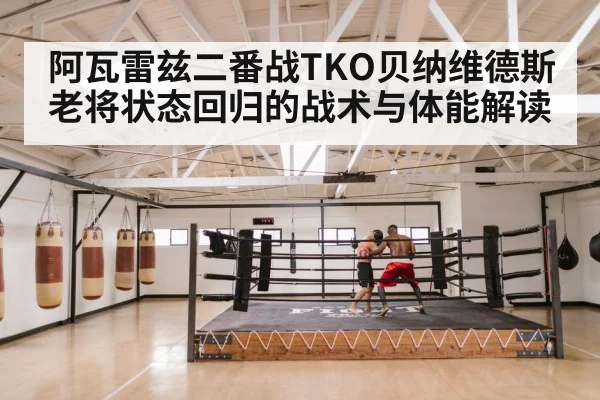 阿瓦雷兹二番战TKO贝纳维德斯 老将状态回归的战术与体能解读