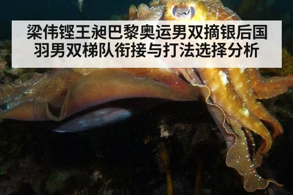 梁伟铿王昶巴黎奥运男双摘银后国羽男双梯队衔接与打法选择分析